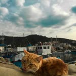 Onur