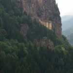 Gonca