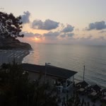 Birgül