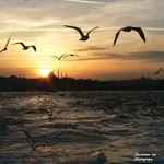 Necmettin