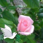 Fatma