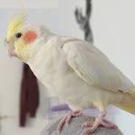 Ömer