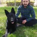 Mehmet