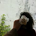 Ayşe