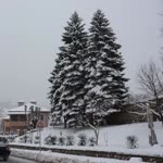 Sevgi