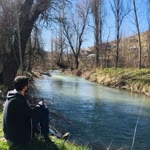 Mustafa
