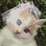 Derya