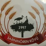 Sarininören