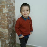 Talip