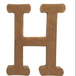 Hasan