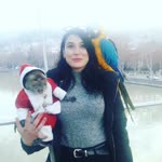 Merve