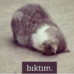 Aykut