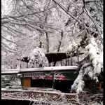 Işıl
