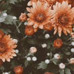 Elif