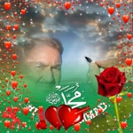 Orhan