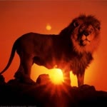 Onur
