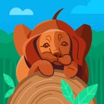 Aysu