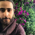 Koray