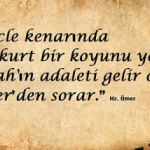 Erhan