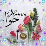 Havva