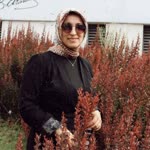 Songül