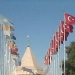 Şahin