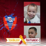 Vedat