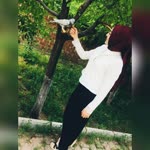 Zehra