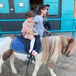 Elif