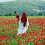 Burcu