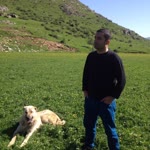 Zafer