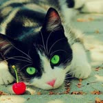 Serhat