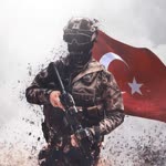 Vedat