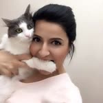 Duygu
