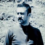 Nurşin