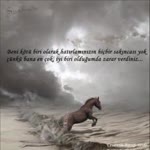 Ayşe