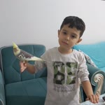 Emir
