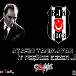 Şahin
