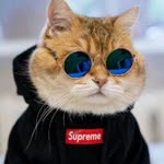 Onur