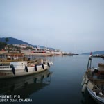 Selim