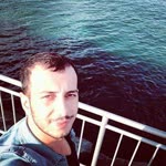 Şahin