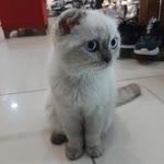 Onur