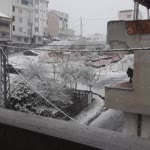 Emel