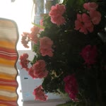 Neslihan