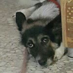 Zeytin