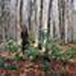 Sidal