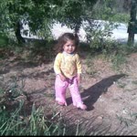 Elanur
