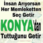 Havva
