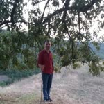 Şaban