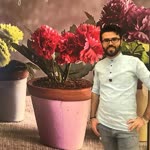 Galip